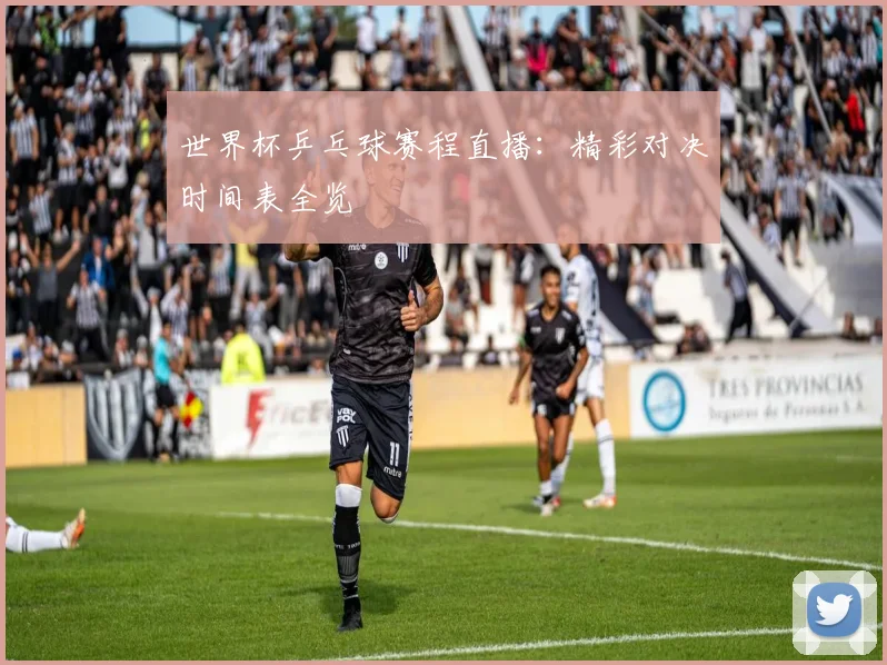 世界杯乒乓球赛程直播：精彩对决时间表全览