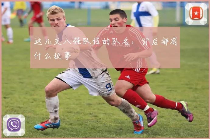 这几支八强队伍的队名，背后都有什么故事